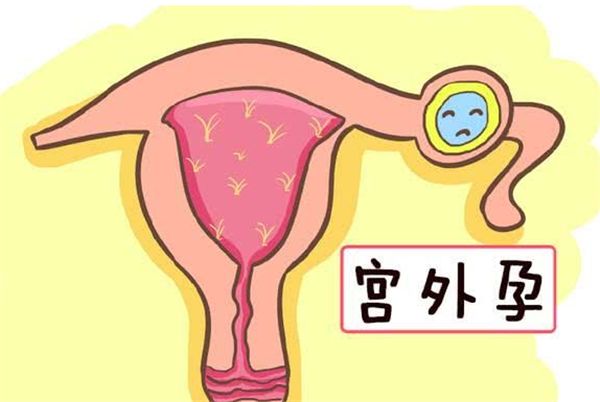福建的人卵巢早衰绝经还能做助孕吗？