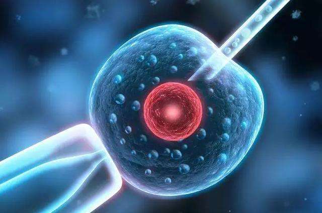 移植的胚胎质量一般能成功怀孕吗?