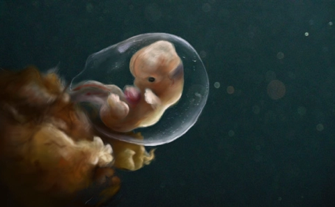 胚胎师有火眼金睛?通过胚胎就能看出来宝宝试管吗?
