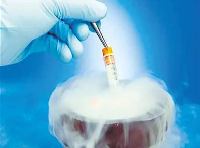 试管婴儿胚胎可以冷冻保存多久?