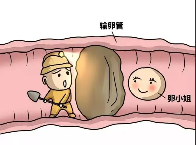 济南中心医院试管婴儿费用