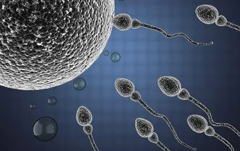 精子质量差可以怀孕吗