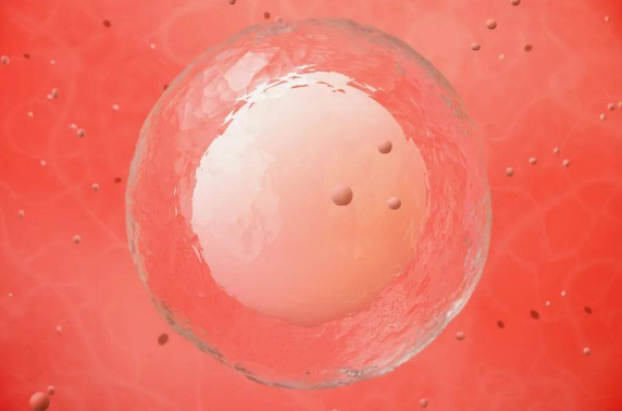 卵泡发育不良能怀孕吗